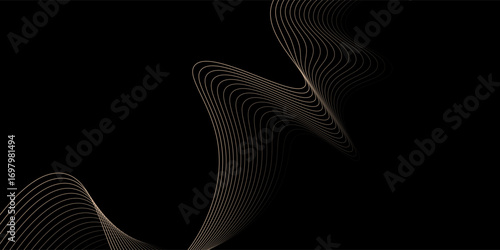  Modern design black background with luxury golden elements vector illustration. vector