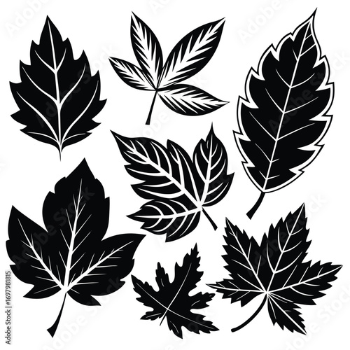 A collection of various black dripping liquid splatters, drops, and blobs isolated on a white background.