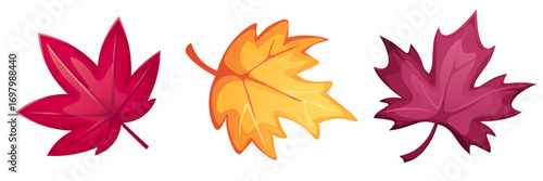 Set of colorful autumn leaves. Autumn leaves on white backgroundn