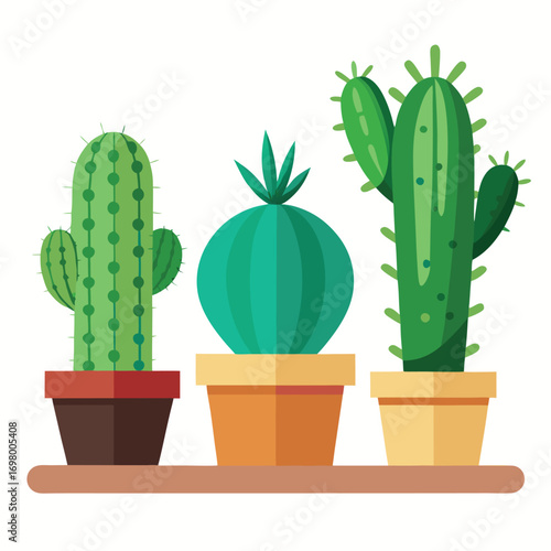 Three potted cacti on a shelf, in a cartoon style illustration.