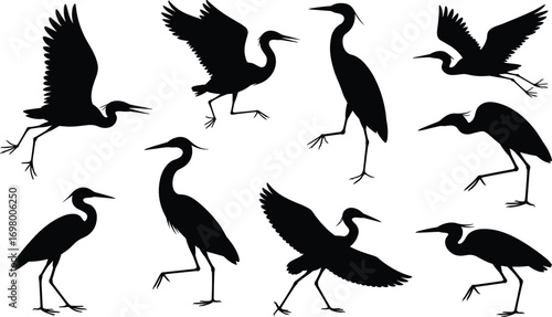 Set of black heron bird silhouettes in various flying and walking poses on white flight