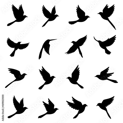 A collection of sixteen black flying bird silhouettes in various poses isolated on a white background icon
