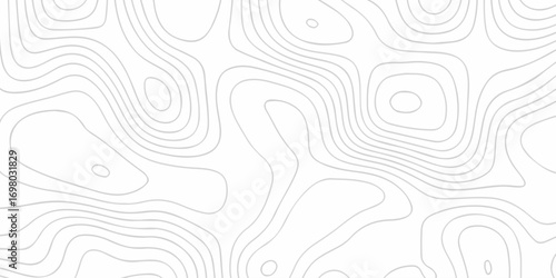Abstract topographic White wave paper curved reliefs. Topographic map patterns, topography line map. Abstract white topography vector background. Contour maps. Vector illustration.