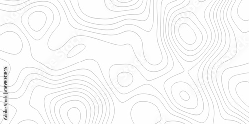 Abstract topographic White wave paper curved reliefs. Topographic map patterns, topography line map. Abstract white topography vector background. Contour maps. Vector illustration.