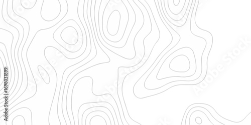 Abstract topographic White wave paper curved reliefs. Topographic map patterns, topography line map. Abstract white topography vector background. Contour maps. Vector illustration.