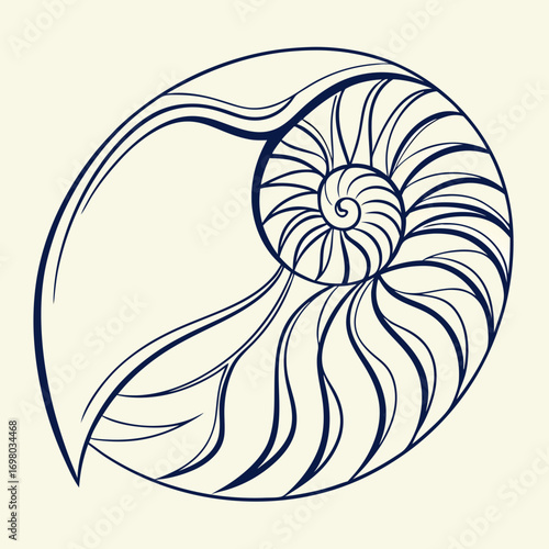 Elegant minimalist line art illustration of a nautilus shell spiral pattern on a cream background
