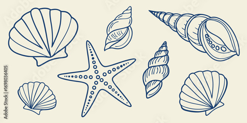 Seamless hand drawn vector illustration of seashells and starfish on a beach pattern. Minimalist line art. editable file