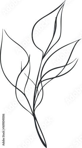 A minimalist line art illustration of a delicate leaf design showcasing natural beauty. Black on transparent background.