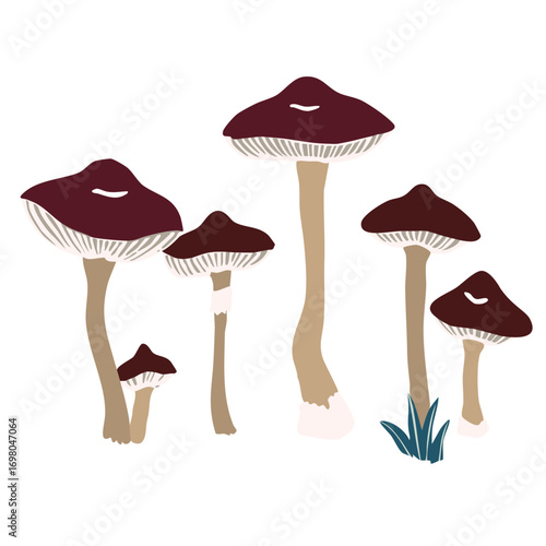 Hand Drawn Mushroom Clipart – Forest Fungi Vector SVG Illustration