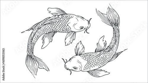 A beautiful black and white illustration of two koi fish swimming in a circular motion. Black on transparent background.