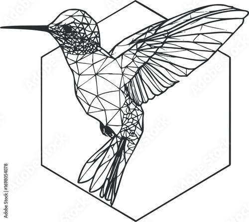 Stylized geometric illustration of a hummingbird in a hexagonal frame showcasing intricate line art. Black on transparent background.