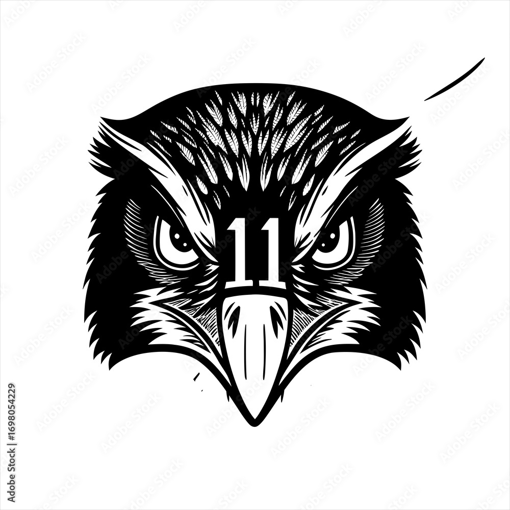 Obraz premium Stylized Black and White Owl Face with Number 11.