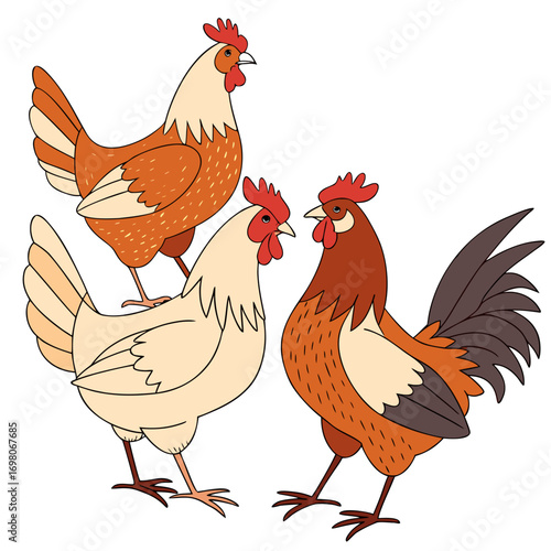 Three cartoon chickens and roosters with red combs and wattles on a white background