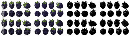 Peach slices and silhouettes with transparent background