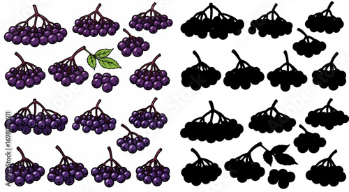Plums and apples with transparent background