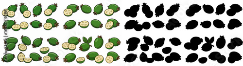 Avocado halves and slices with transparent background