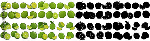 Cantaloupe slices and silhouettes with transparent background