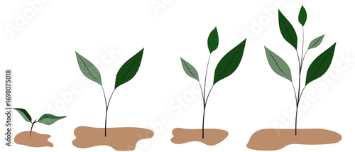 Plant growth. Illustration with miniature plants, hand-drawn. Illustrations for a textbook. Biology, soda farming. Motivational picture. Space for text.