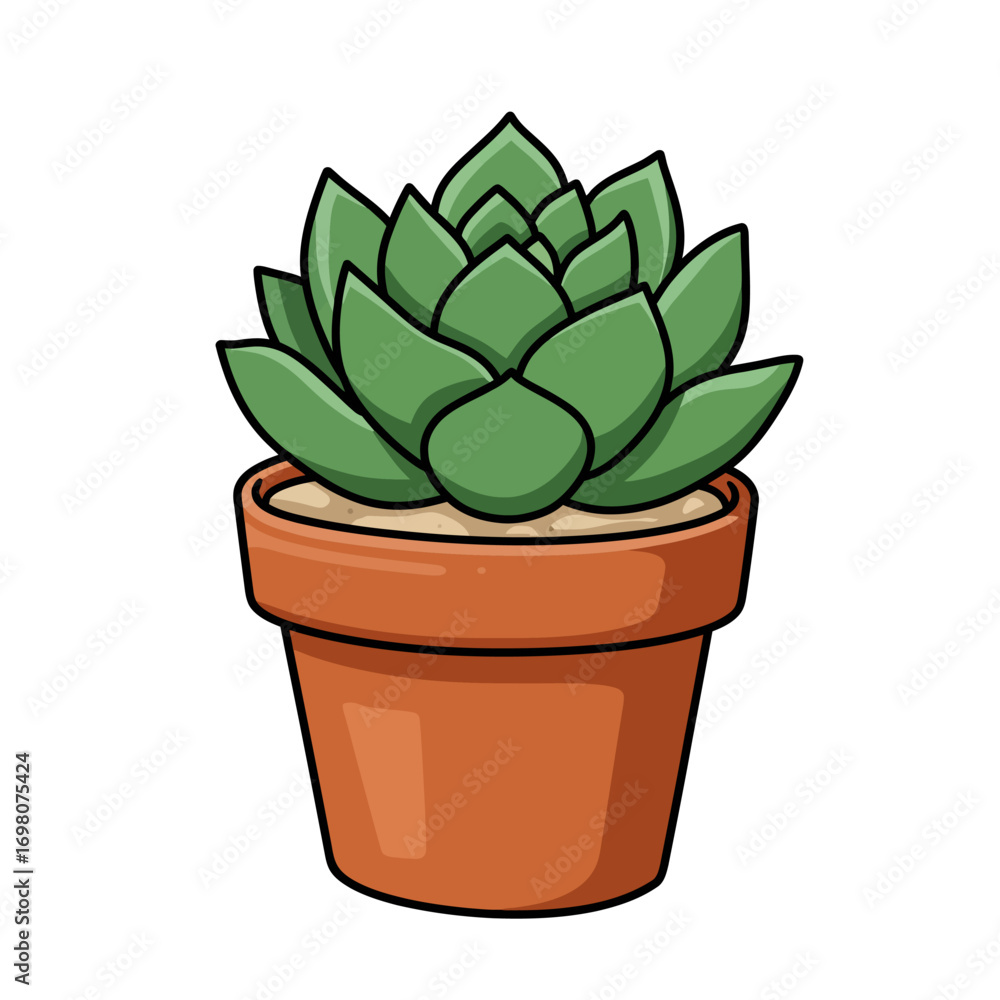 Fototapeta premium Cartoon Succulent Plant in Terracotta Pot Illustration.
