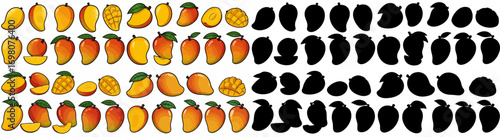 Cute citrus fruits with shadow outlines