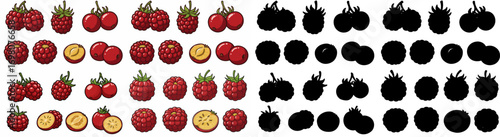 Dragon fruit slices and whole fruits with transparent background