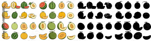 Cantaloupe slices and silhouettes with transparent background
