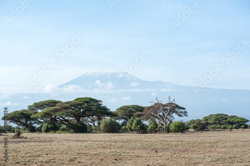 Evening atmosphere at Kilimanjaro