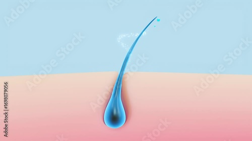 3D animation of a hair follicle absorbing essential oils, showing hydration, scalp nourishment, and healthy, shiny hair growth.