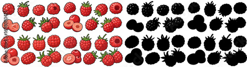 Raspberries and blackberries collection with transparent background