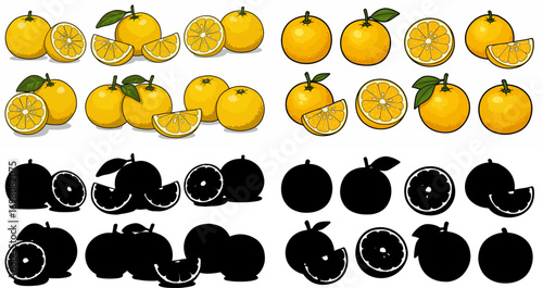 Lime slices and whole limes with transparent background