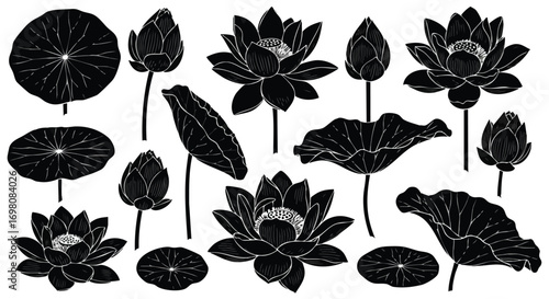 Set of black silhouette lotus flowers and leaves.