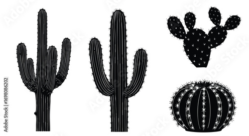 Black cactus silhouettes on white background, various desert plants.