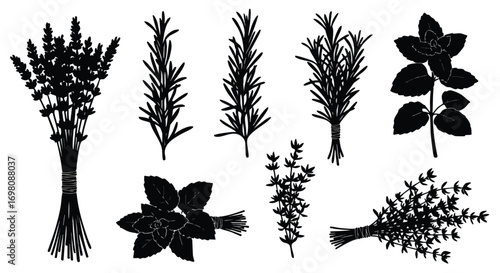 Set of various herb silhouettes including lavender rosemary basil and thyme.