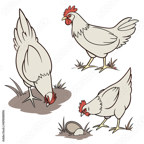 Three cartoon chickens in different poses on a white background with grass and eggs