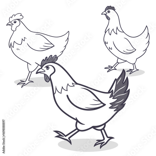Three cartoon chickens drawn in a simple line art style with subtle shading on a white background
