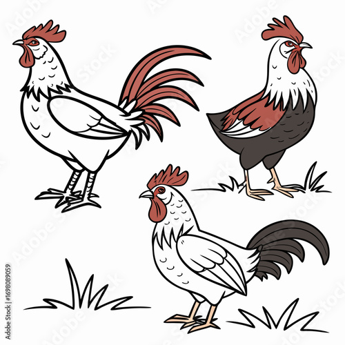 Three stylized cartoon roosters depicted in different poses and colors on a white background with grass elements