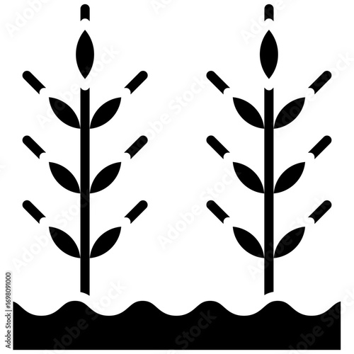 Wheat Plantation Icon