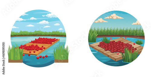Cranberry bog in wetland area featuring a flooded river vector art set design illustration