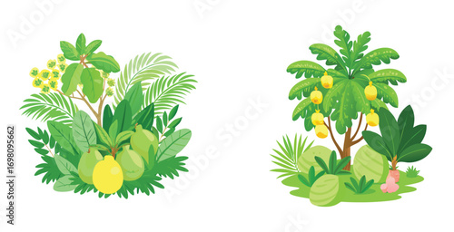 Guava bush in tropical garden featuring a dense forest vector art set design illustration