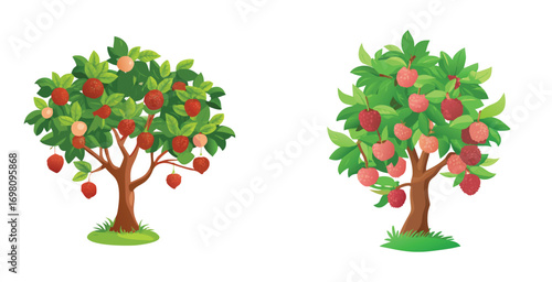Lychee tree laden with clusters of ripe textured vector art set design illustration