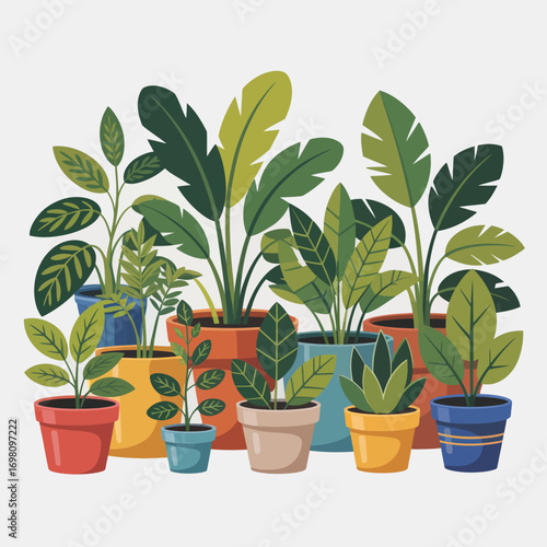 A Variety of Potted Houseplants with Green Leaves in Colorful Pots Keywords: houseplants, potted