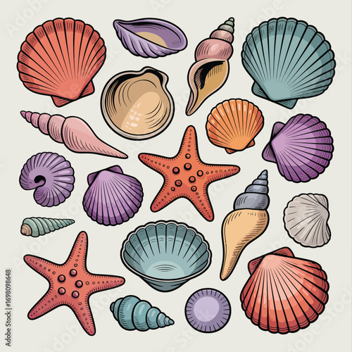 Assortment of colorful seashells and starfish in various shapes and sizes Keywords: seashells