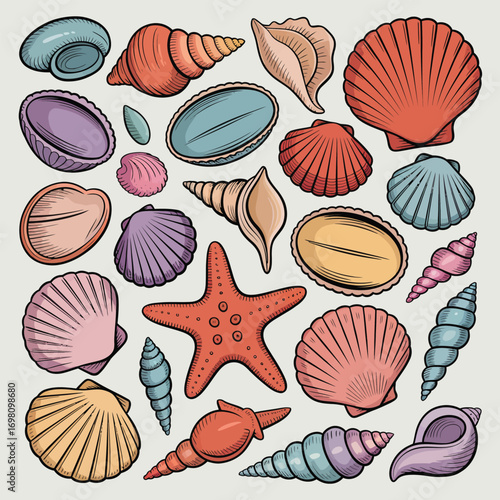 Assortment of colorful seashells and starfish on a light background ocean