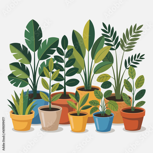 Assortment of potted green houseplants with diverse leaf shapes and pot colors Keywords: potted