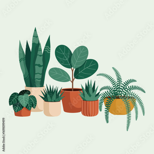 Assortment of Potted Houseplants with Green Leaves on a Light Background Keywords: houseplants