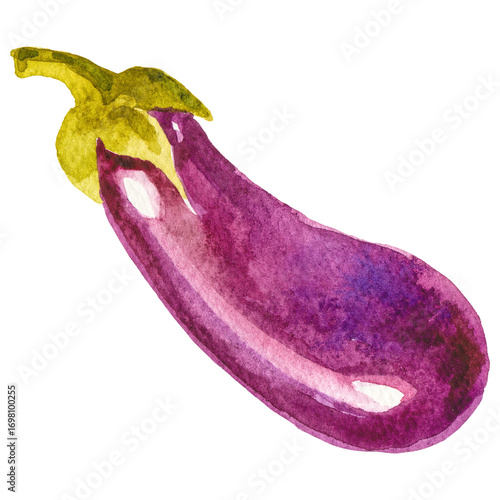 Watercolor painted eggplant. Hand drawn fresh food design element isolated on white background.