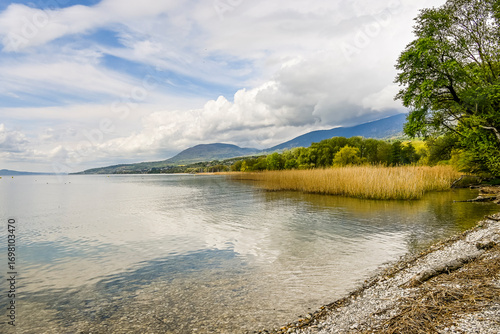 Bevaix, La Pointe du Grain, Neuenburgersee, Seeufer, Uferweg, Schilf, Wassservögel, Naturschutz, Strand, Schwemmholz, Frühling, Neuenburg, Schweiz