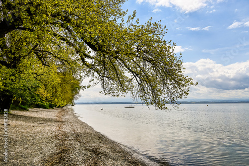 Bevaix, La Pointe du Grain, Neuenburgersee, Seeufer, Uferweg, Wassservögel, Naturschutz, Strand, Wassersport, Frühling, Neuenburg, Schweiz