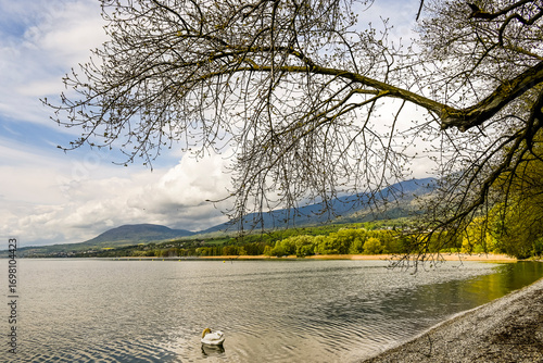 Bevaix, La Pointe du Grain, Neuenburgersee, Seeufer, Uferweg, Wassservögel, Naturschutz, Strand, Wassersport, Frühling, Neuenburg, Schweiz