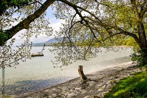 Bevaix, La Pointe du Grain, Neuenburgersee, Seeufer, Uferweg, Wassservögel, Naturschutz, Strand, Wassersport, Frühling, Neuenburg, Schweiz